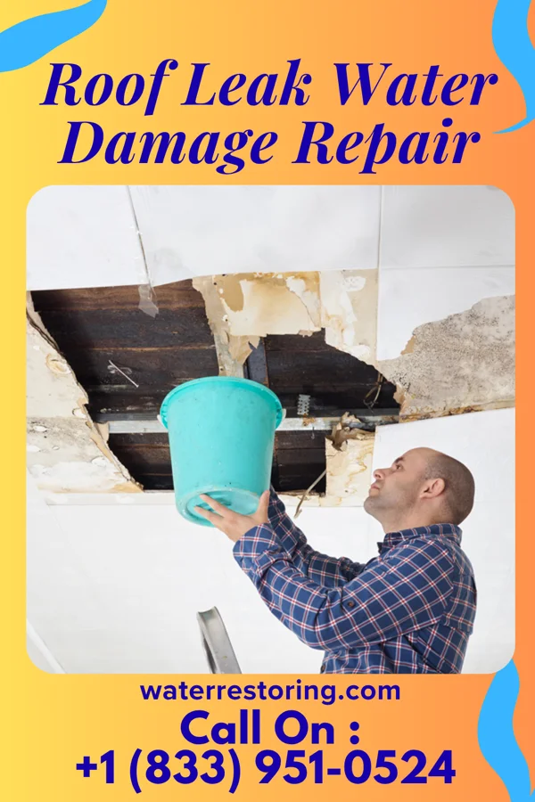 Roof Leak Water Damage Repair in Roy, UT